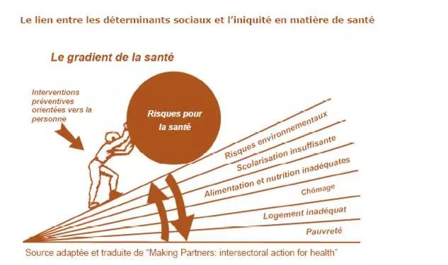 Lien entre les déterminants sociaux et l'iniquité en matière de santé - source réseau francophone international pour la promotion de la santé