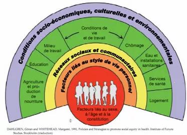 Modèle de Whitehead