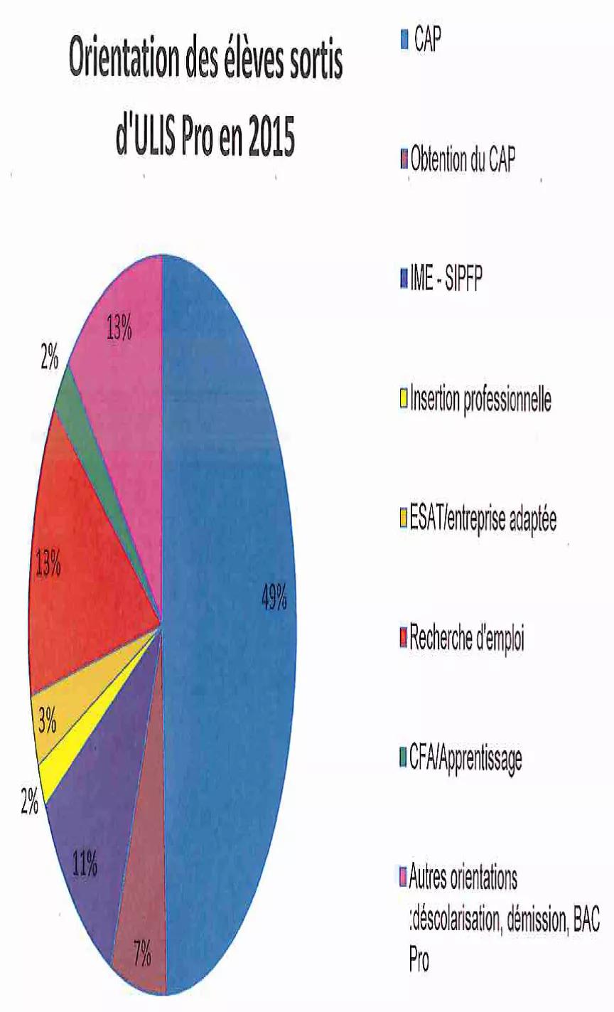 Graphique orientation élèves ULIS Pro