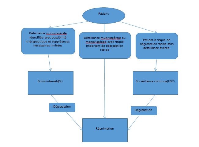 Livret thématique : Soins critiques (Réanimation, USC et USI) | PRS ...