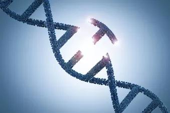 Empreintes genetiques