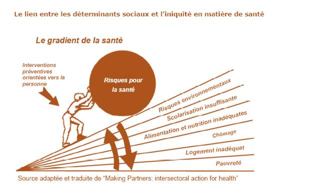 Lien entre les déterminants sociaux et l'iniquité en matière de santé - source réseau francophone international pour la promotion de la santé